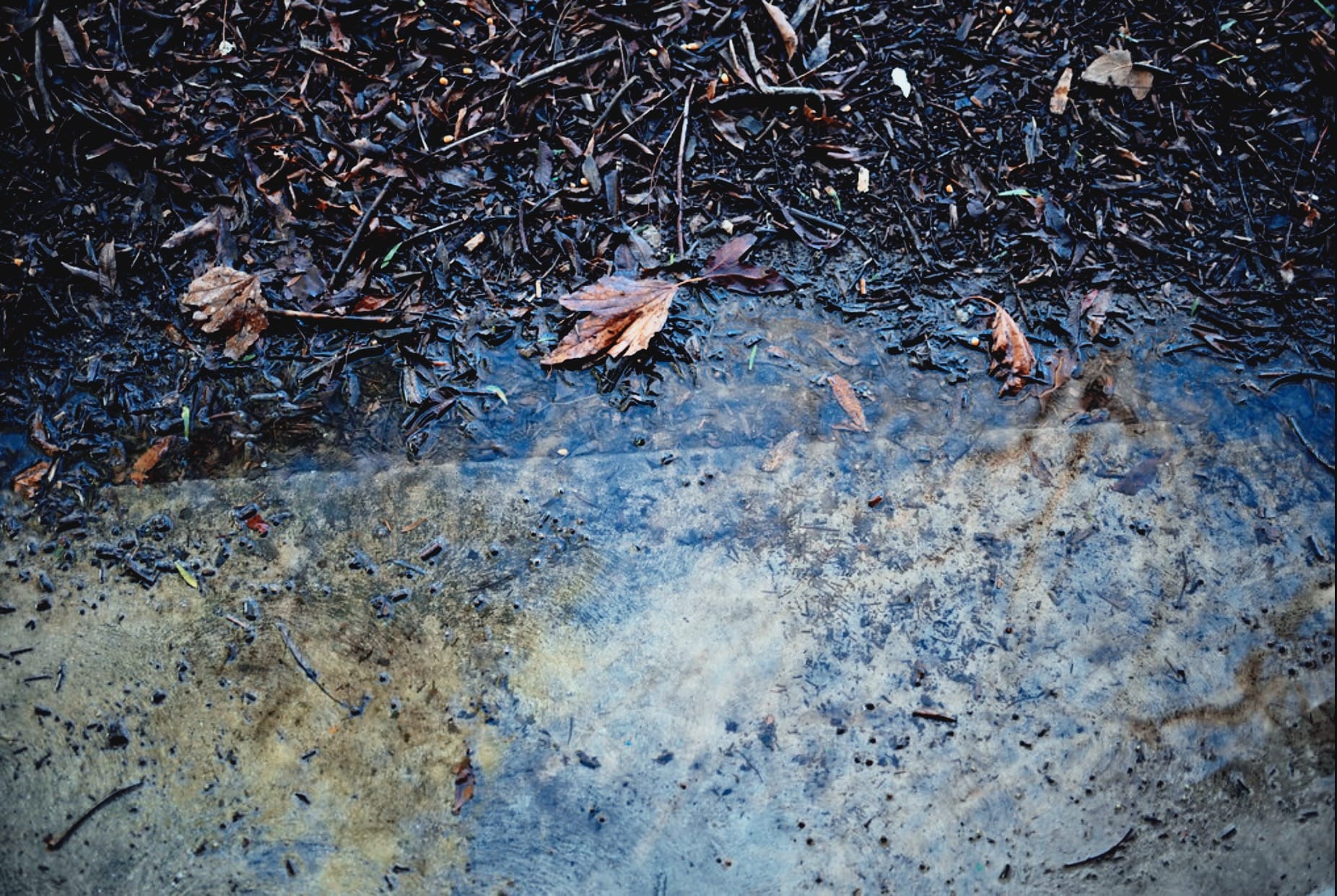 Reflections and Ripples: Capture the Beauty of Puddles